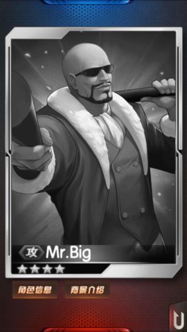 Mr.Big